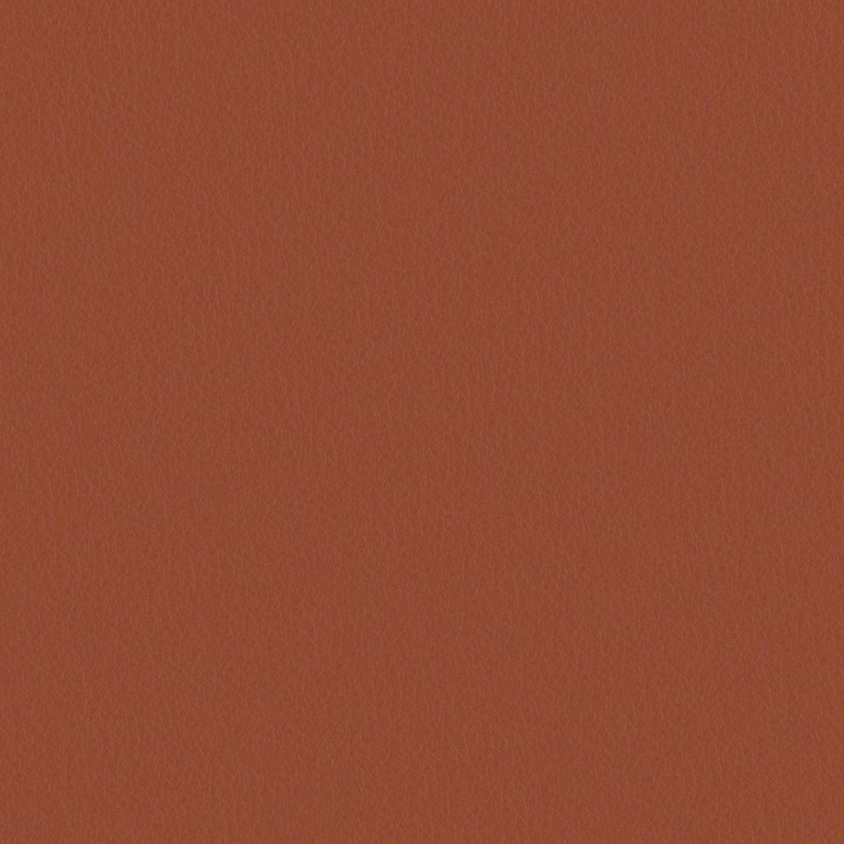 Touch 616049