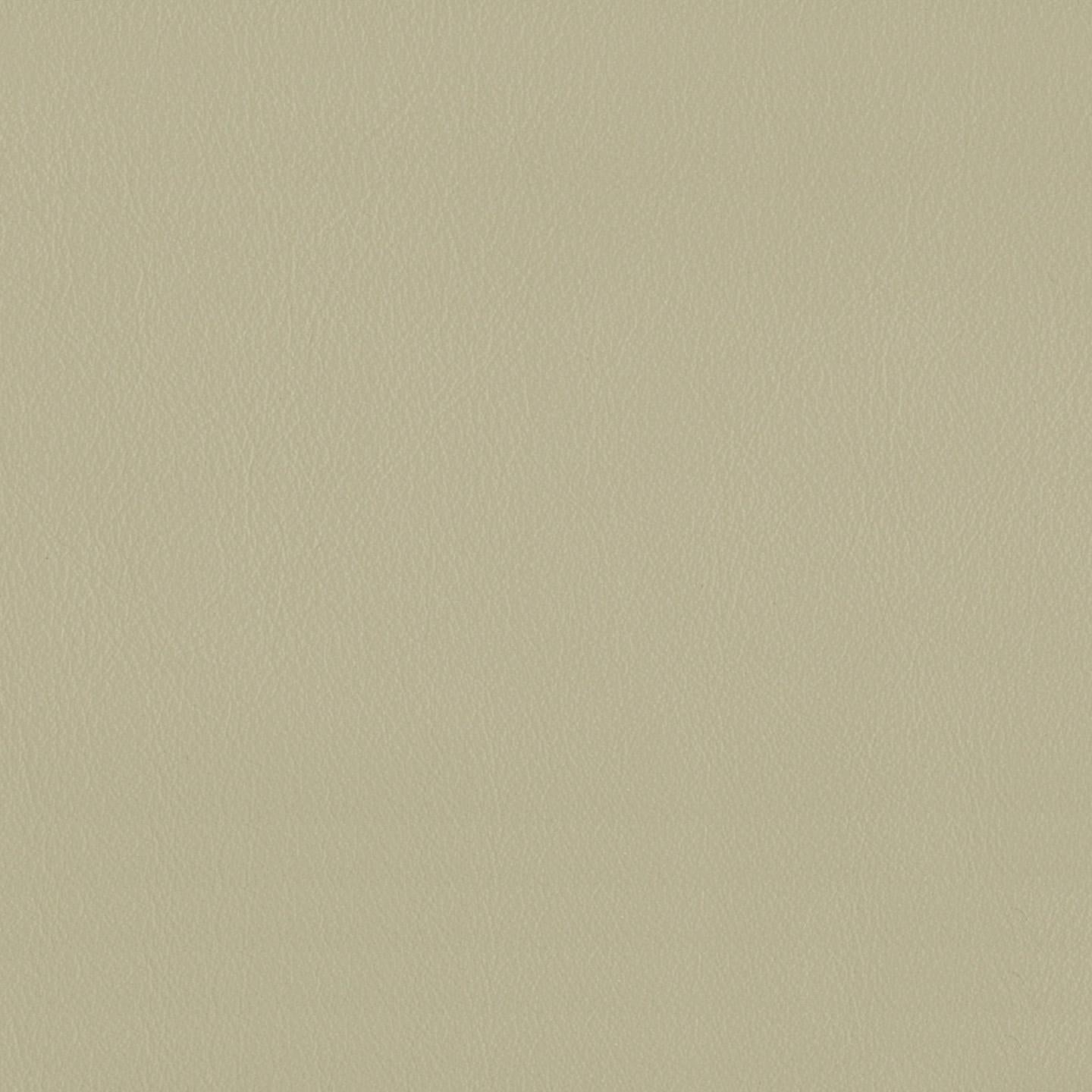 Touch 639074