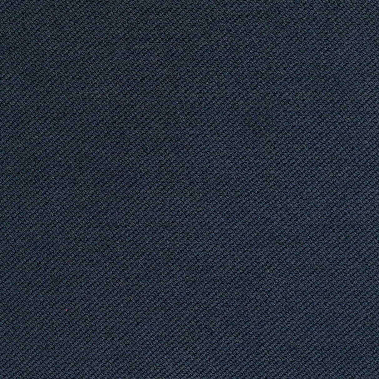 Verona 37