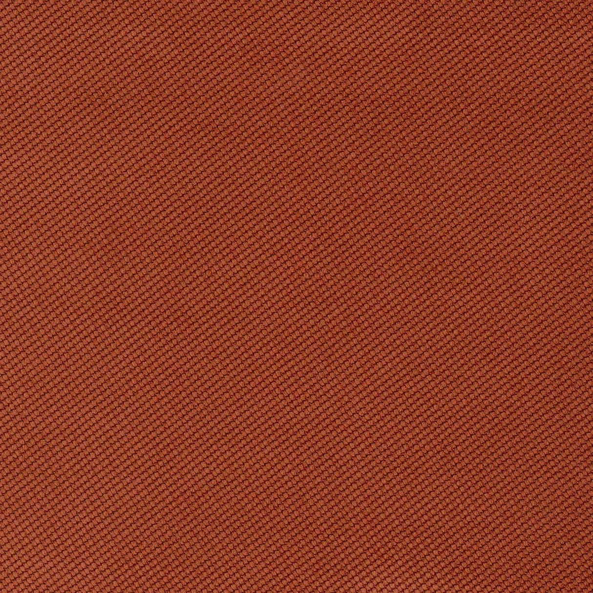 Verona 49