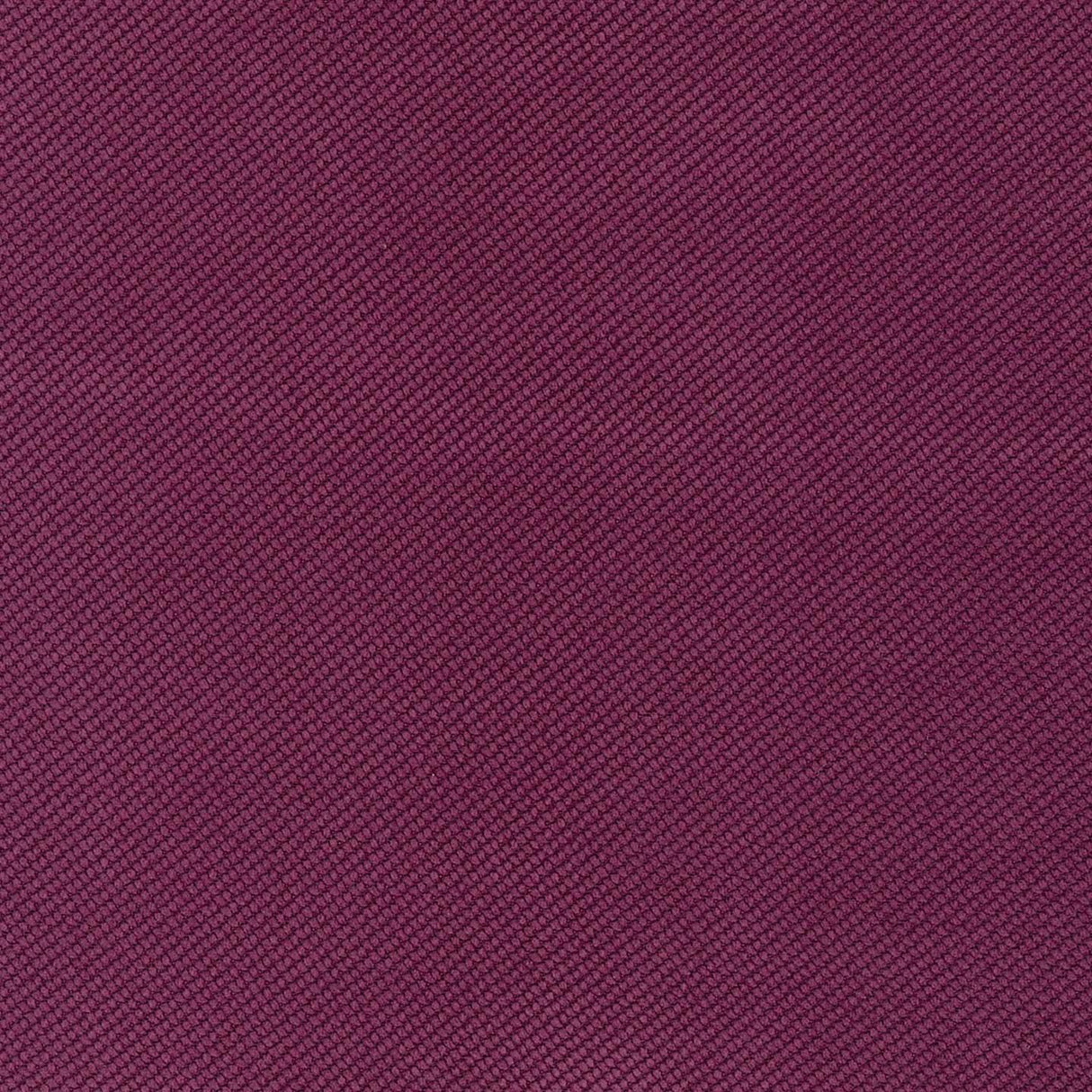 Verona 69