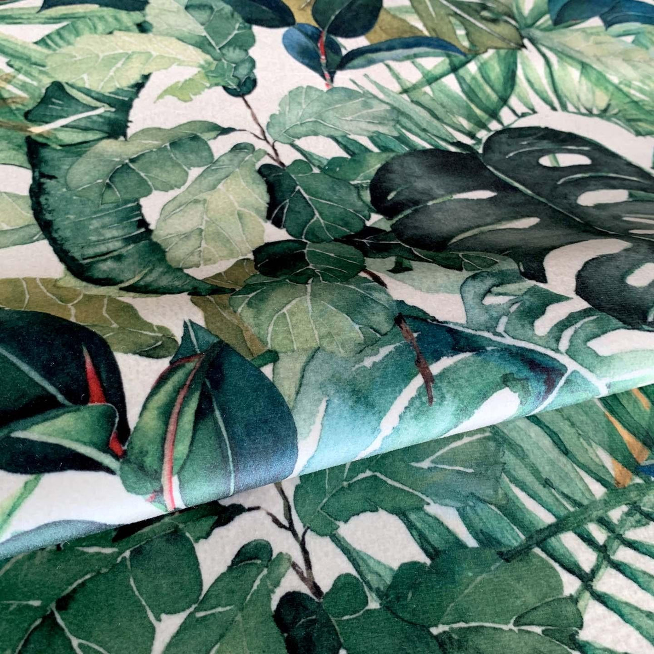 TROPICA