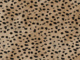 Africa Cheetah T44