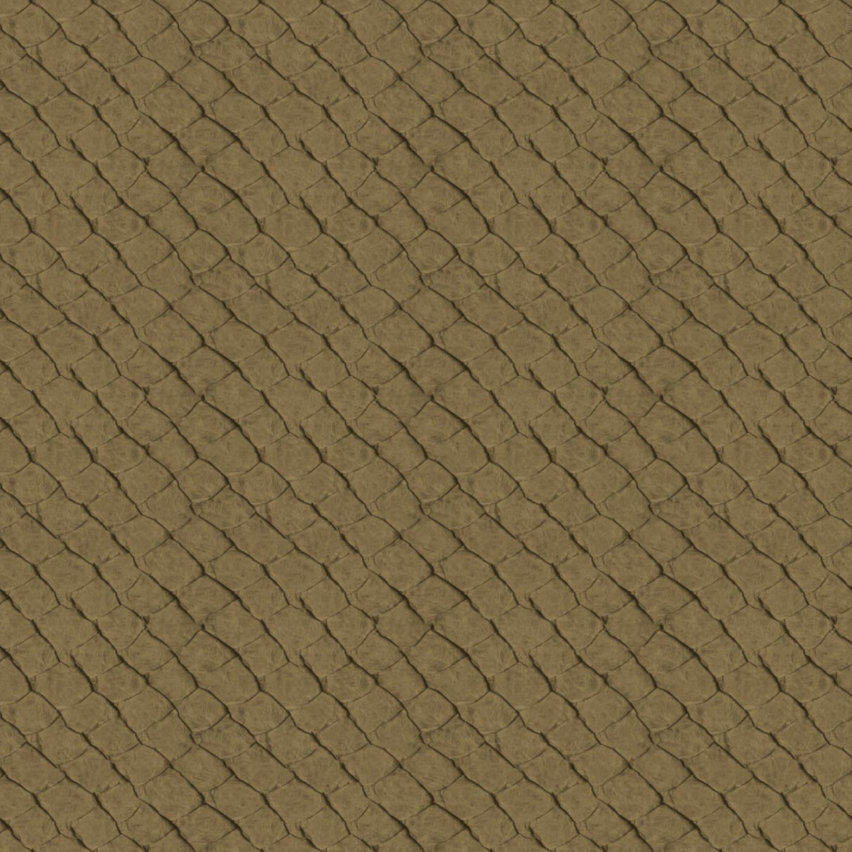 Africa Fish T44