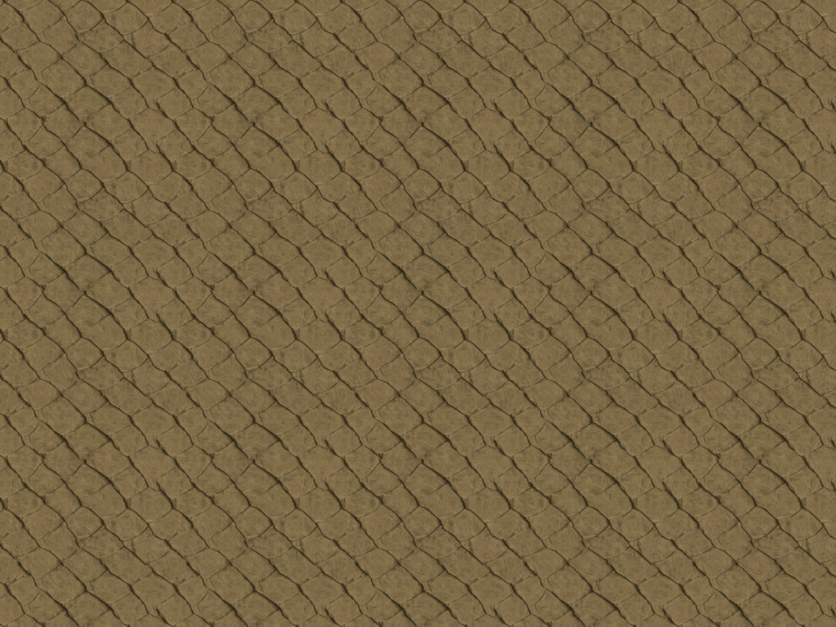 Africa Fish T44