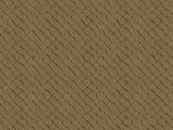 Africa Fish T44