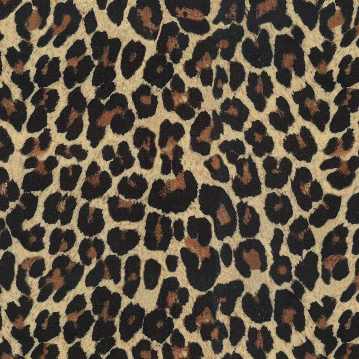 Africa Gepard T34