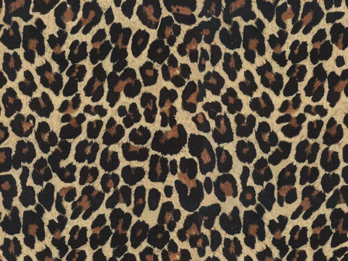Africa Gepard T34