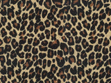 Africa Gepard T34