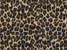 Africa Gepard T34