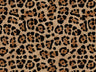 Africa Jaguar T54
