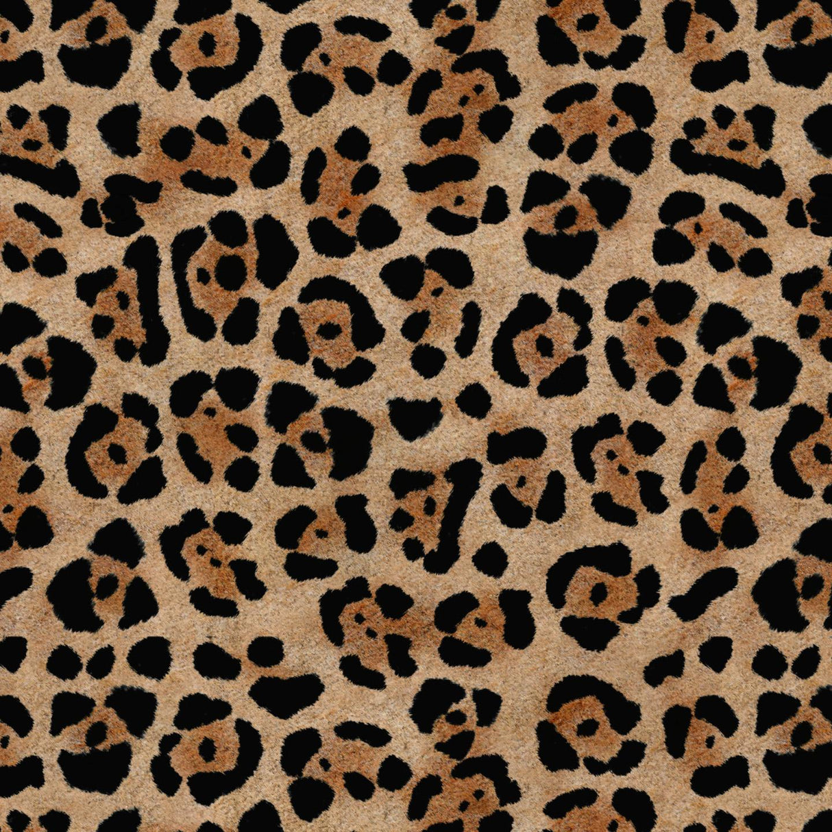Africa Jaguar T54