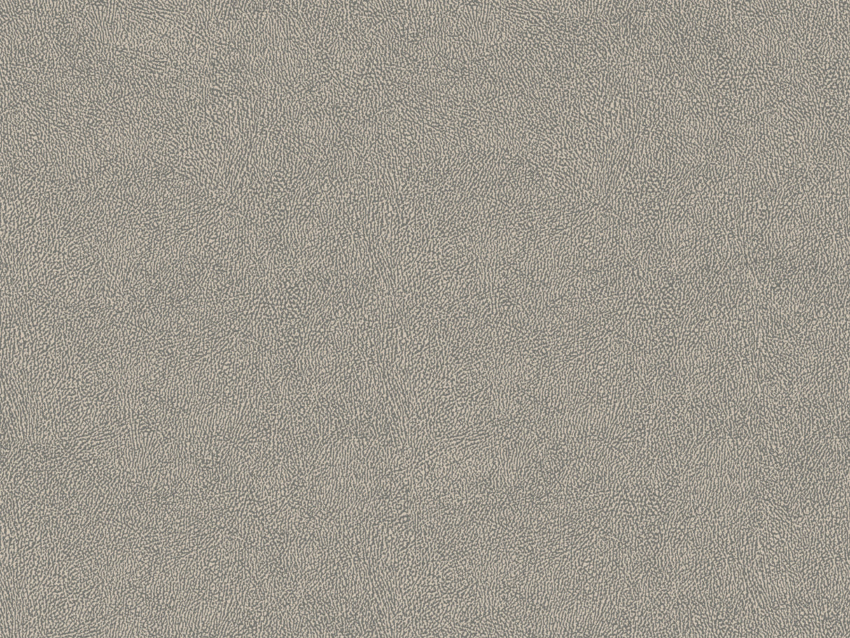 Africa Skin T34