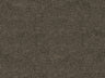 Africa Skin T44