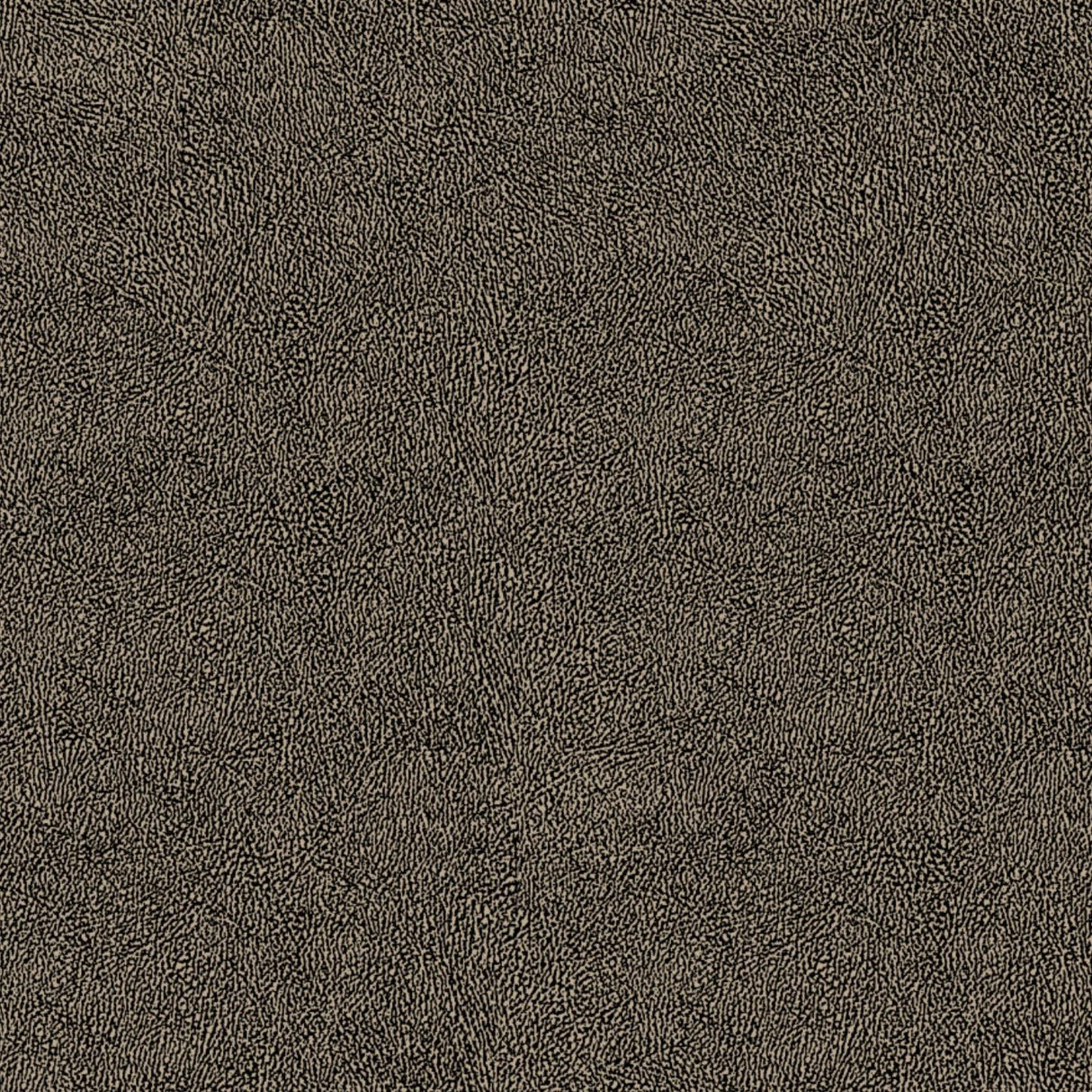 Africa Skin T44