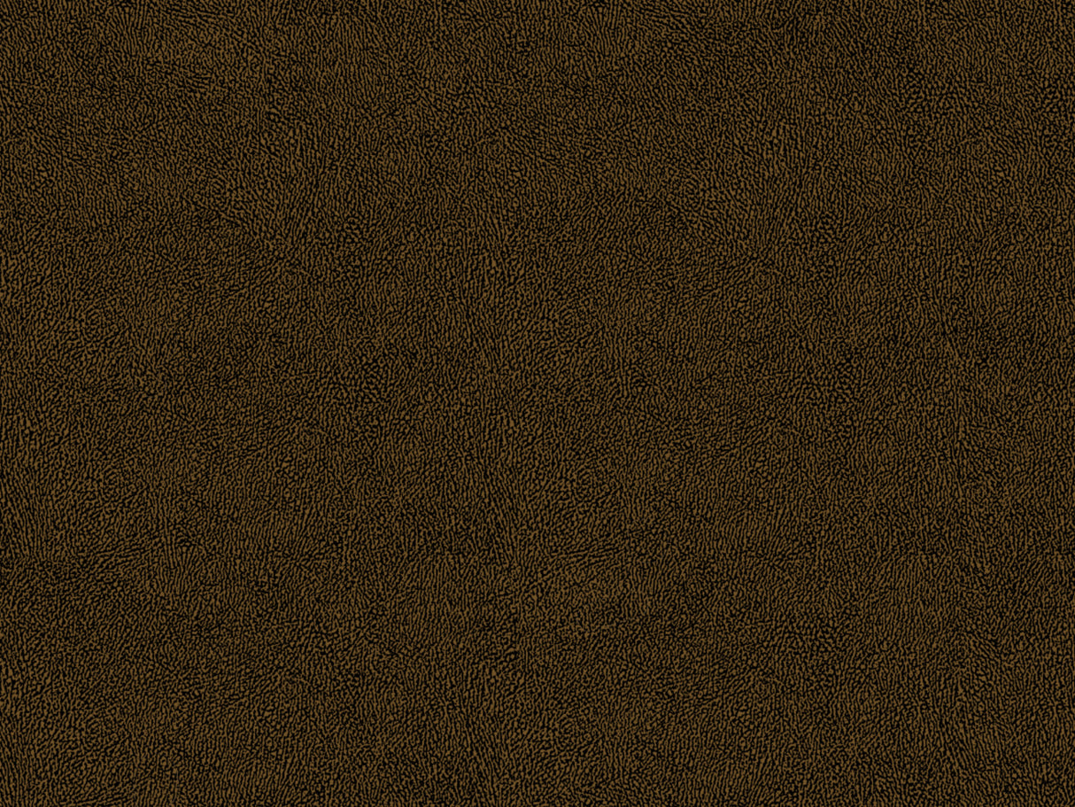Africa Skin T74