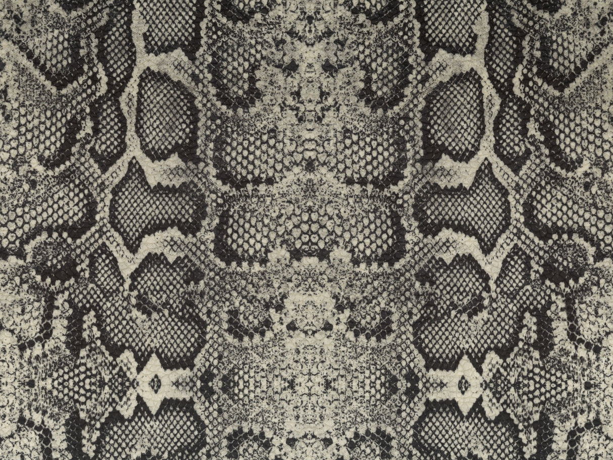Africa Snake T02