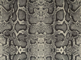 Africa Snake T02