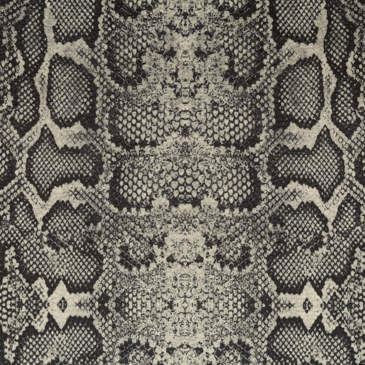 Africa Snake T02