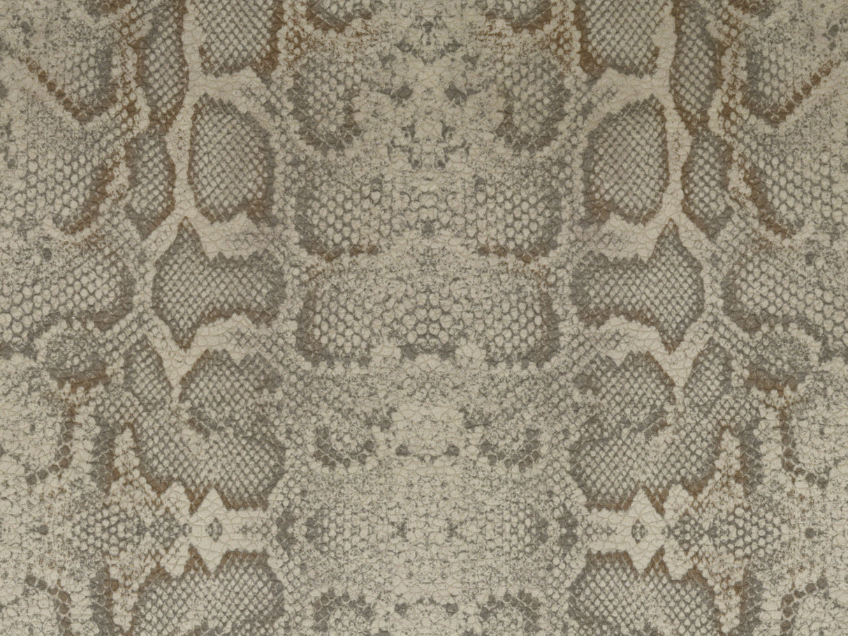 Africa Snake T24