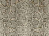 Africa Snake T24