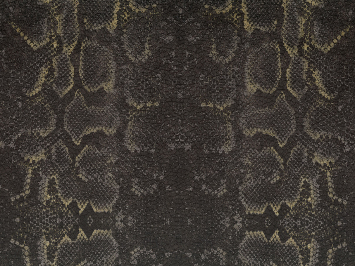 Africa Snake T66