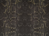 Africa Snake T66