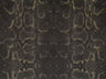 Africa Snake T66
