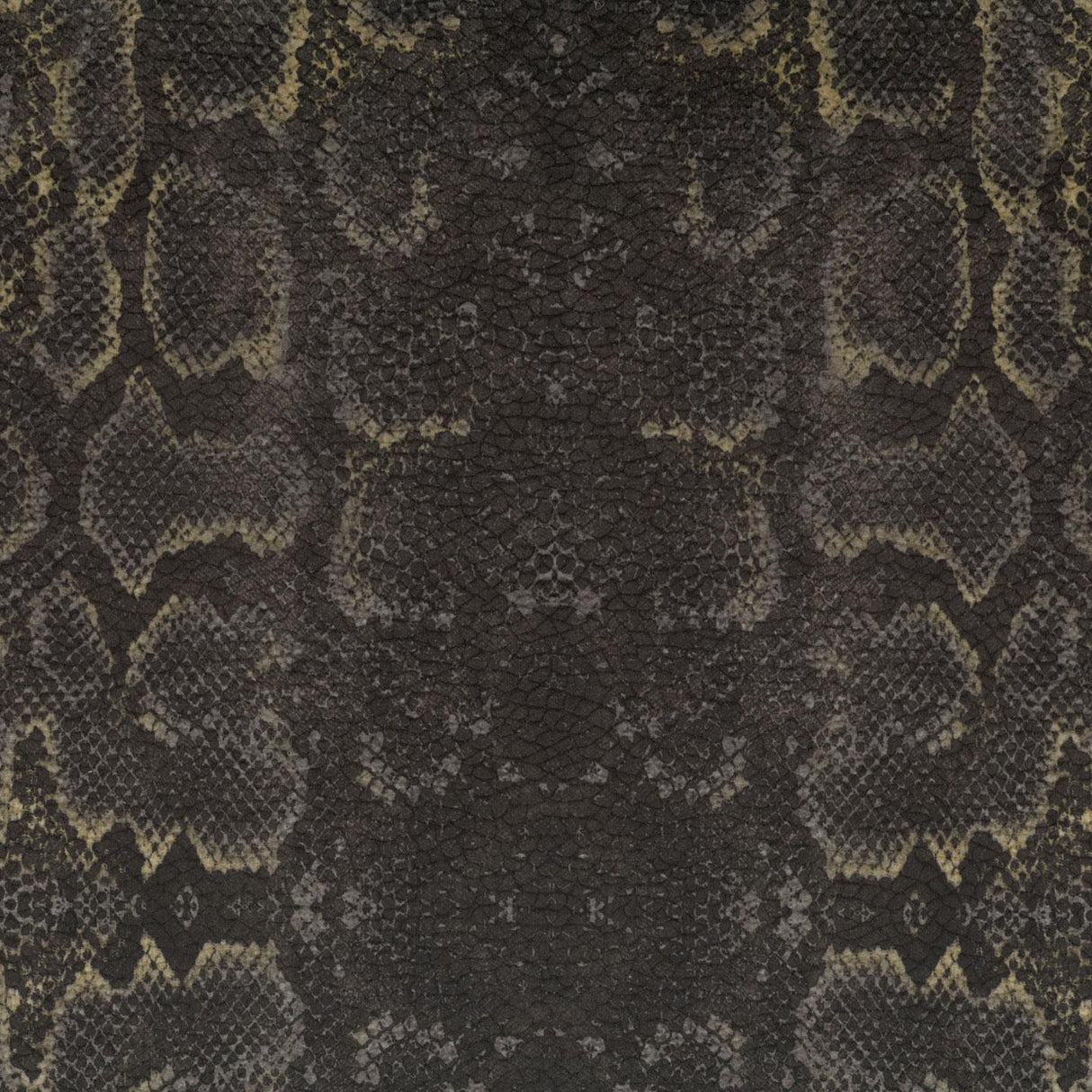 Africa Snake T66