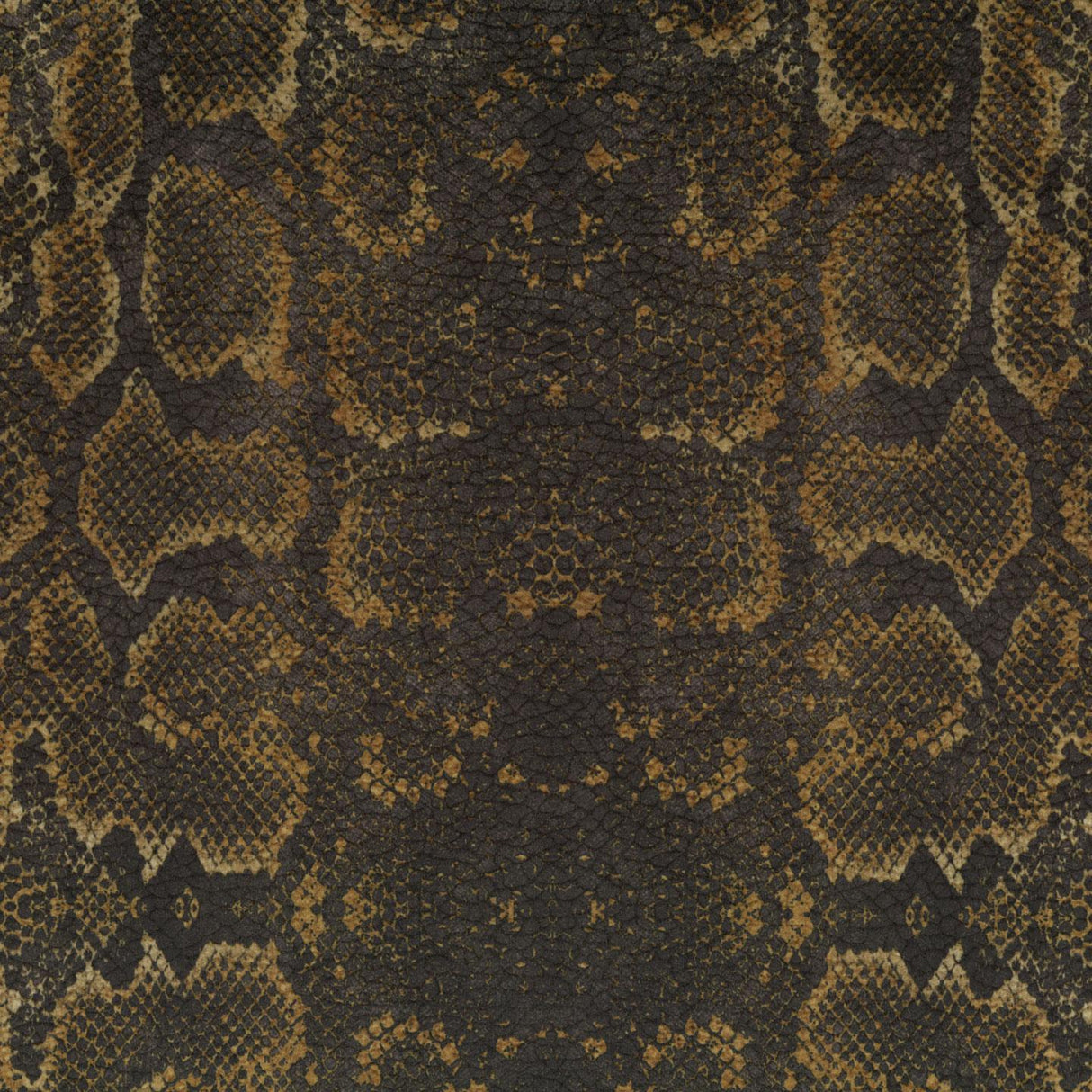 Africa Snake T84