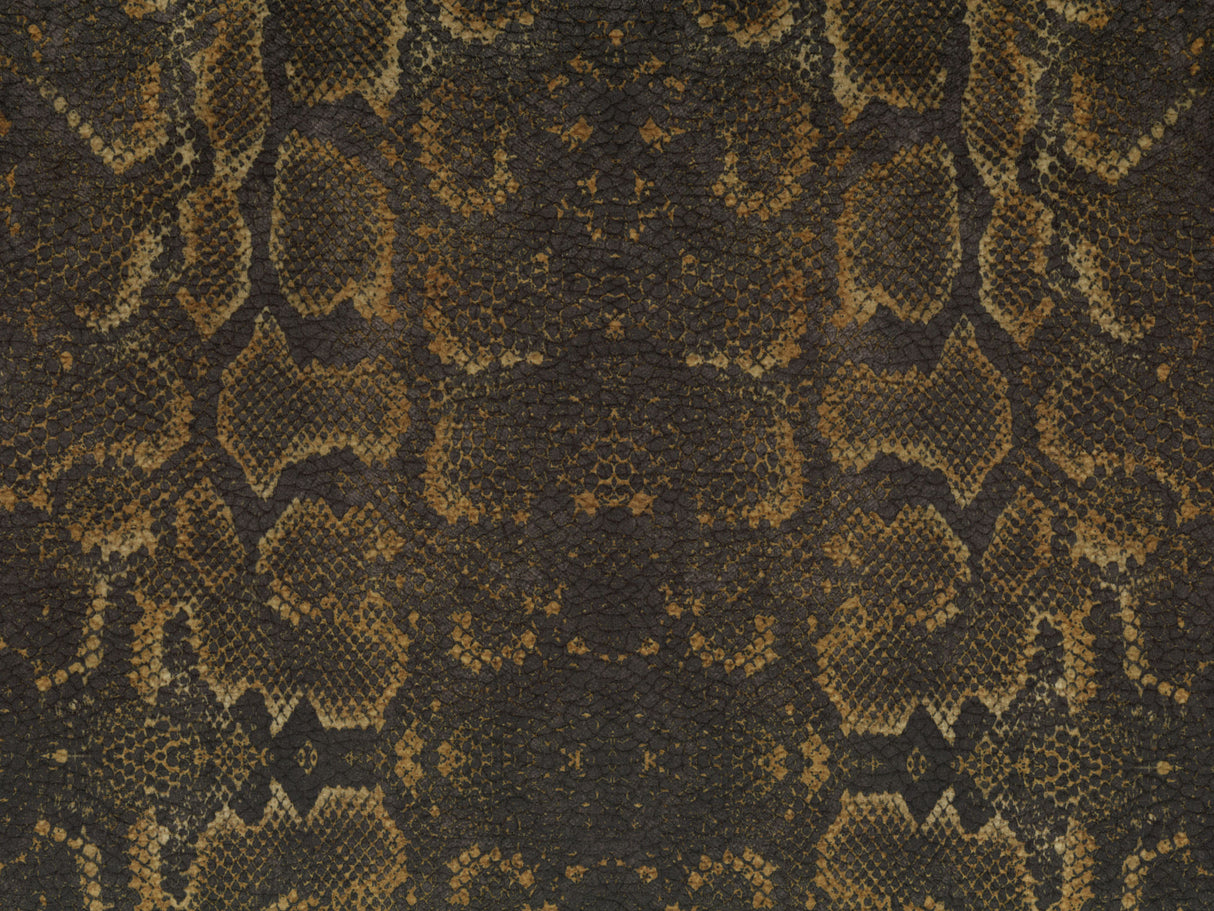 Africa Snake T84