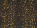 Africa Snake T84