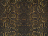 Africa Snake T84