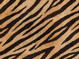 Africa Tiger T49