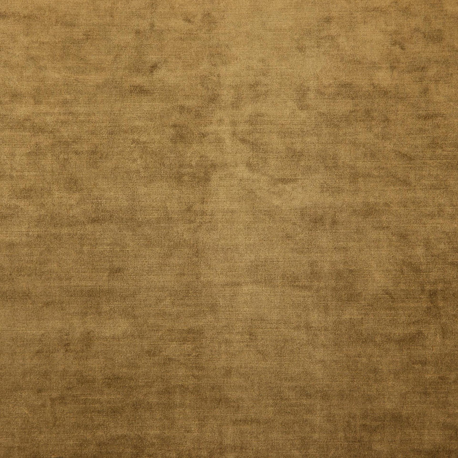 ANDRE