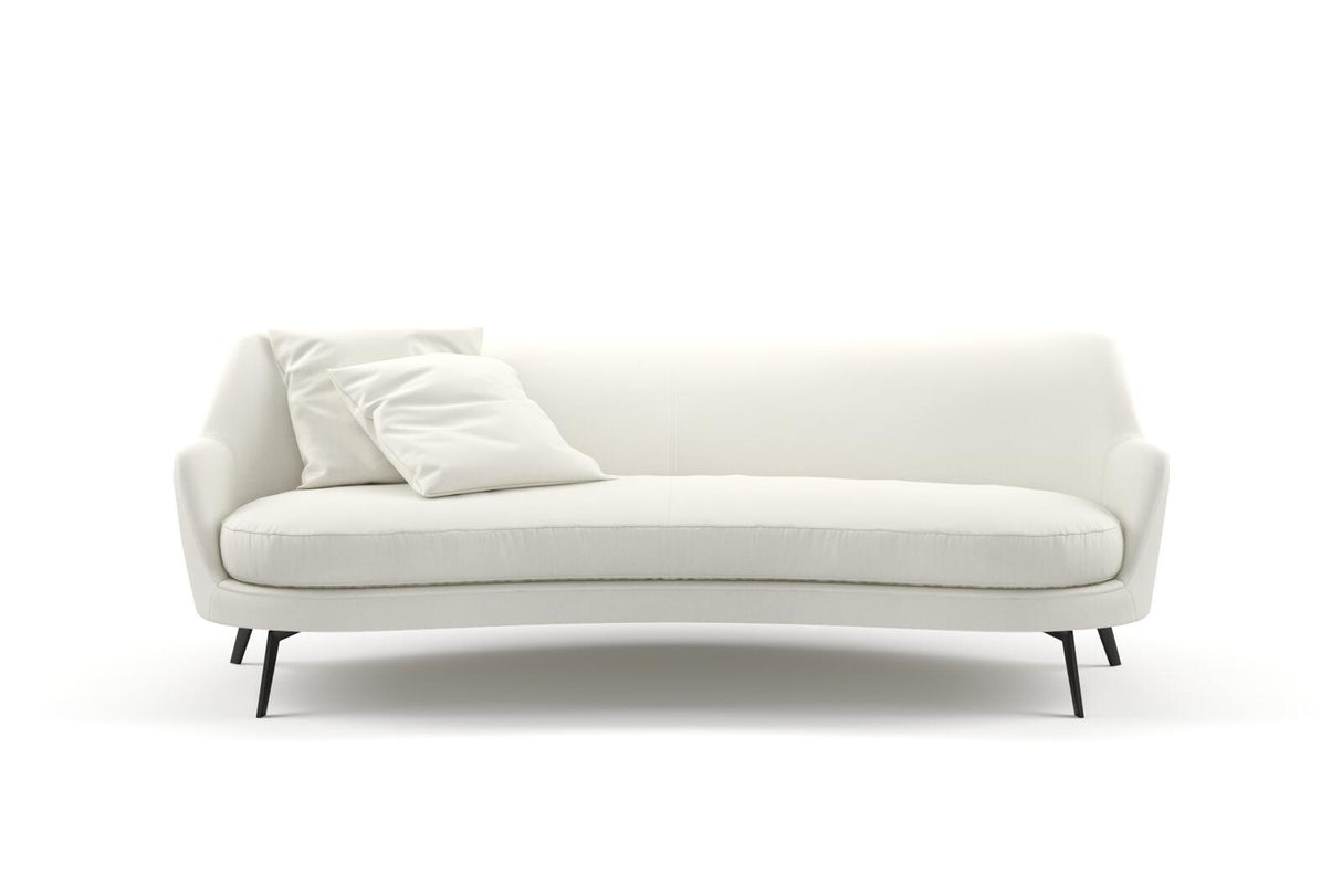 Aviator 21 Swan