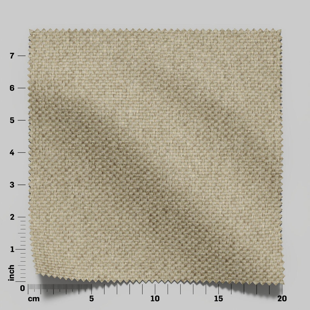 Aviator 26 Wheat