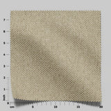 Aviator 26 Wheat