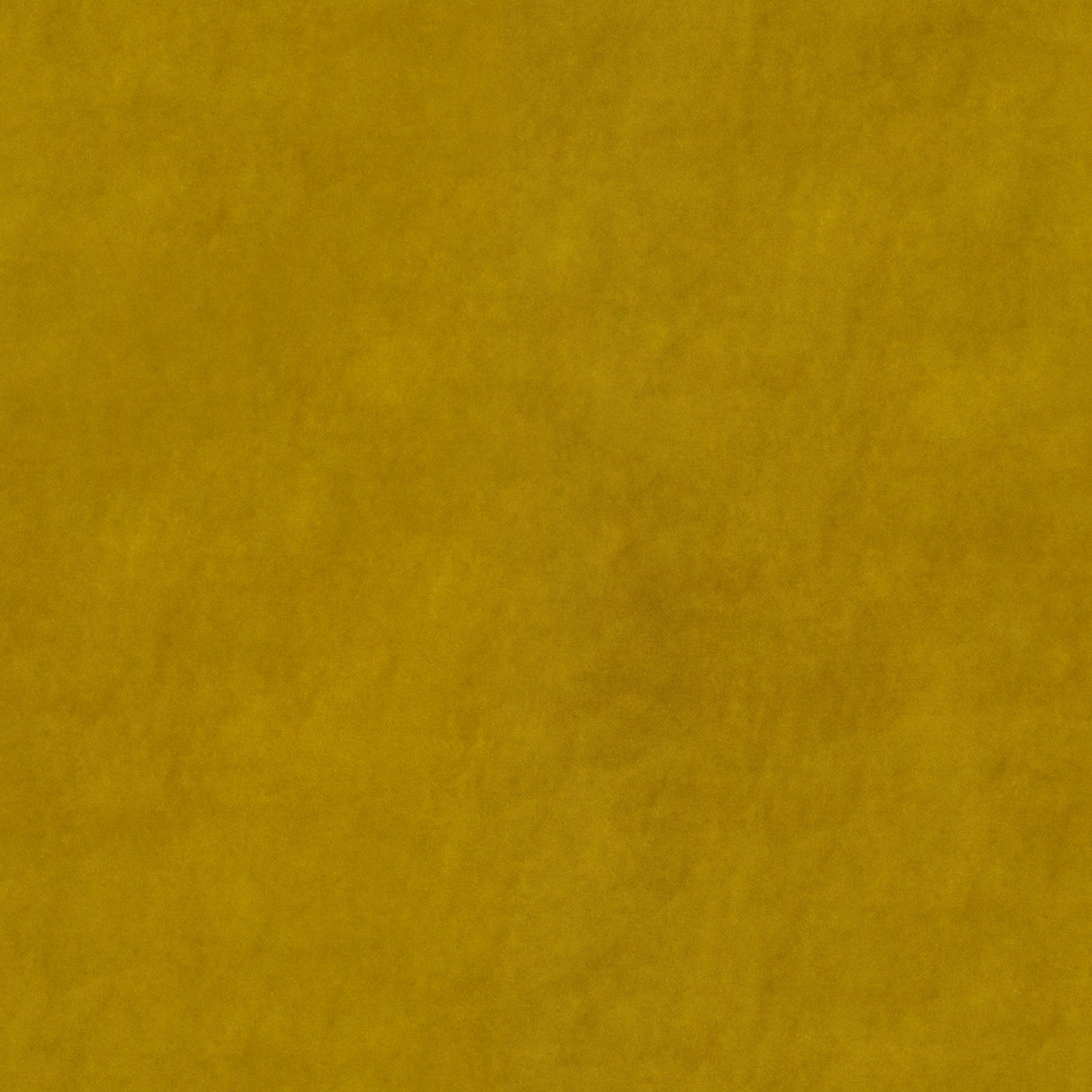 Beltempo 25