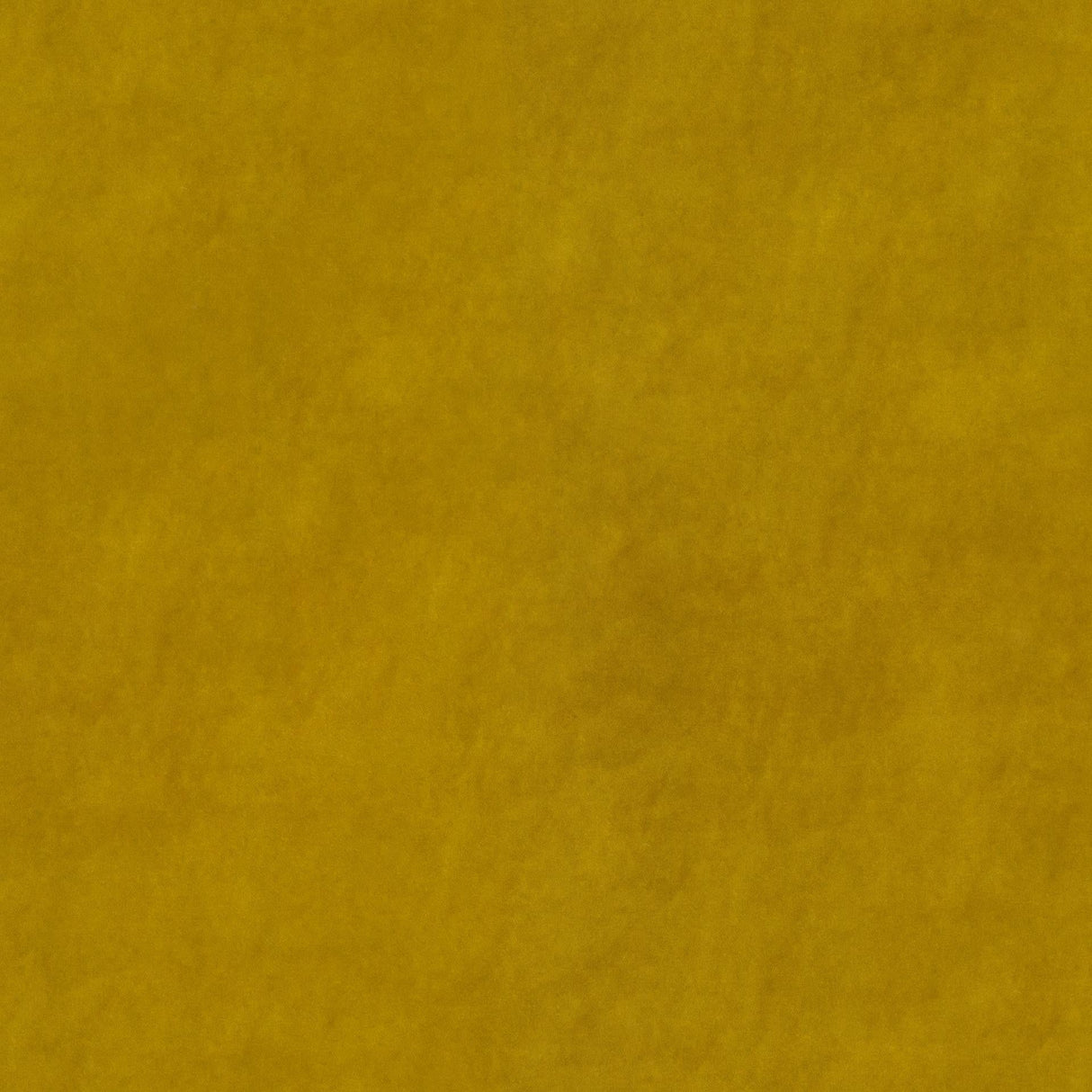 Beltempo 25