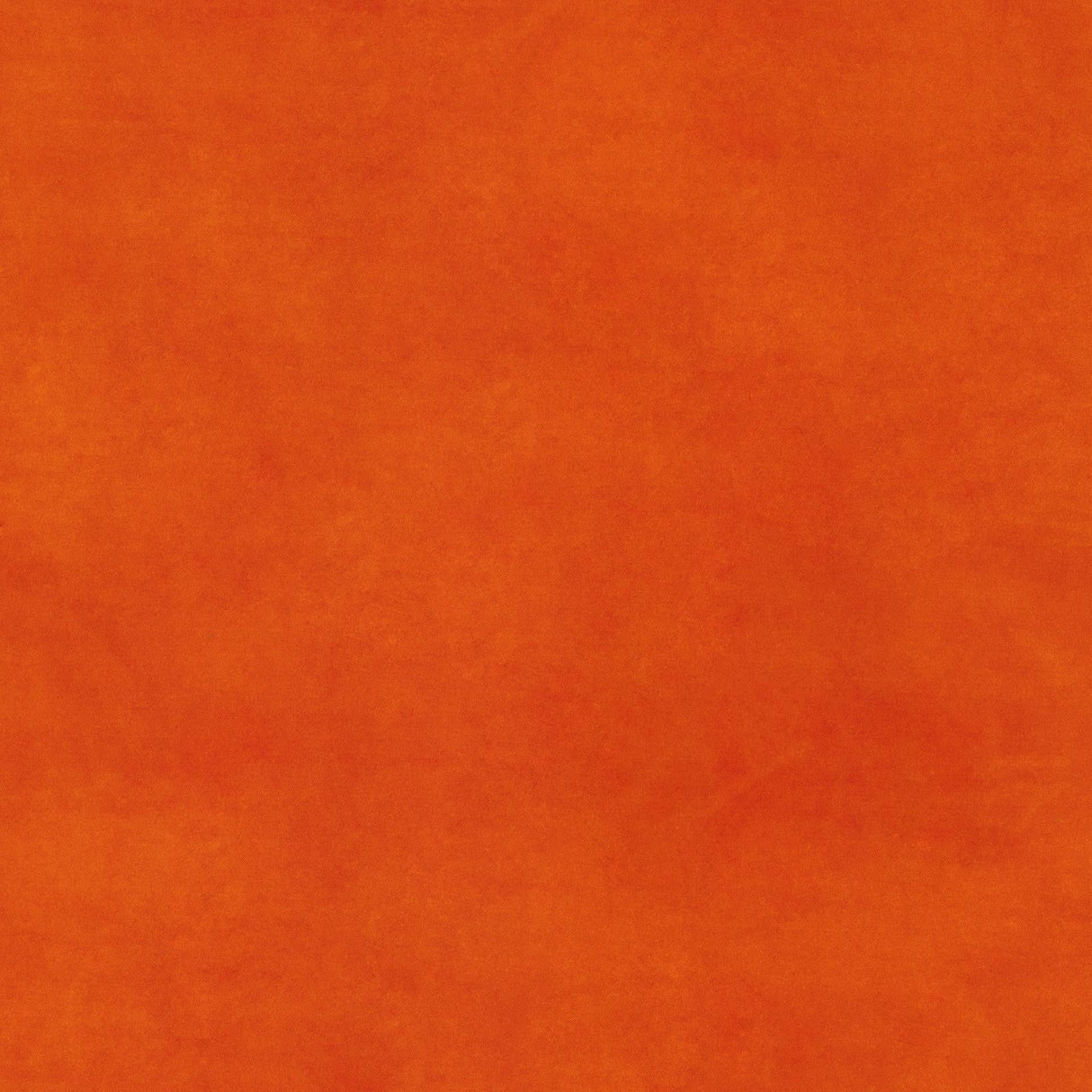 Beltempo 39