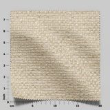 Barbarossa 02 Cocoon