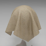 Barbarossa 02 Cocoon