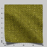 Barbarossa 23 Moss