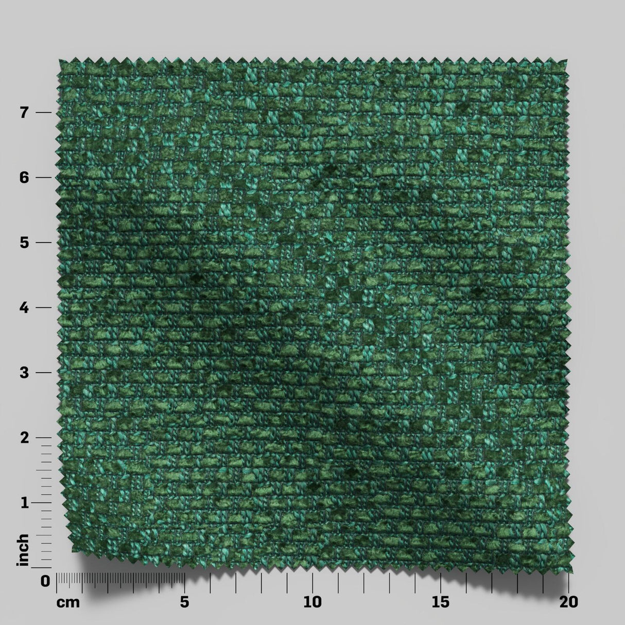 Barbarossa 24 Turtle