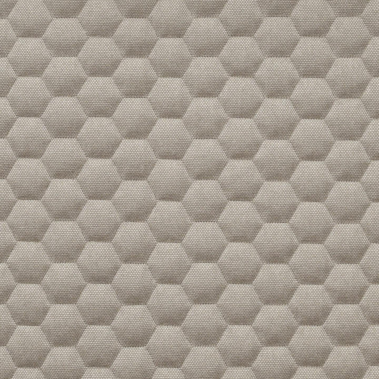 Bombay Hexa 14