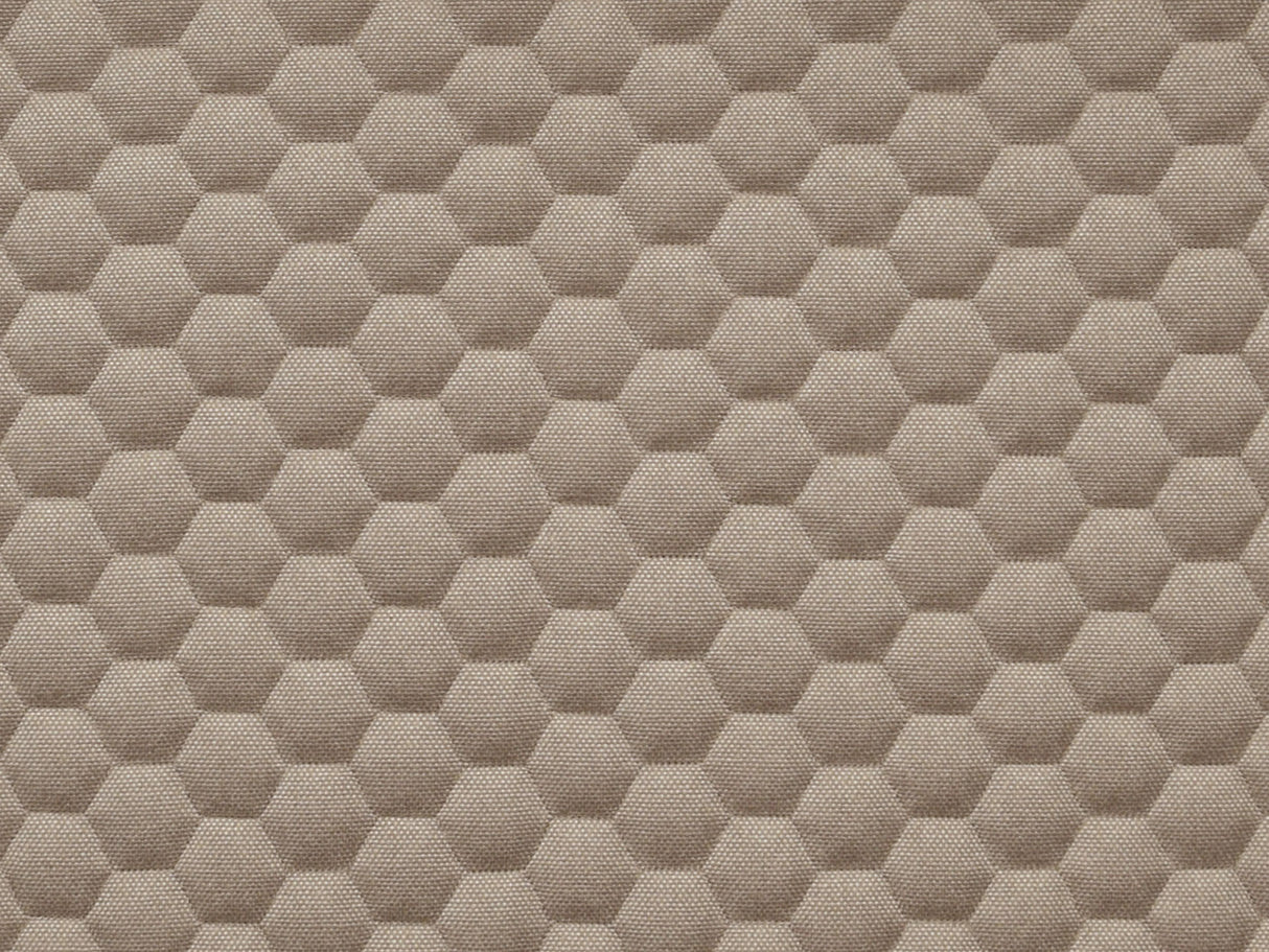 Bombay Hexa 24