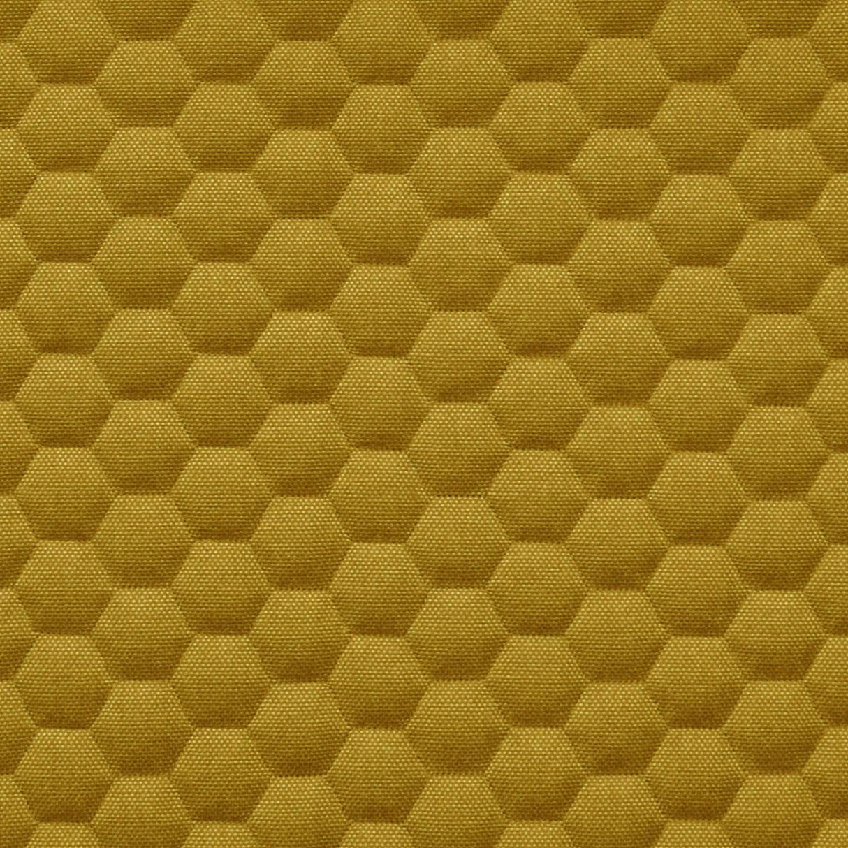 Bombay Hexa 25
