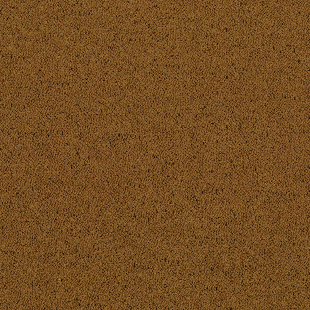 Boucle 29