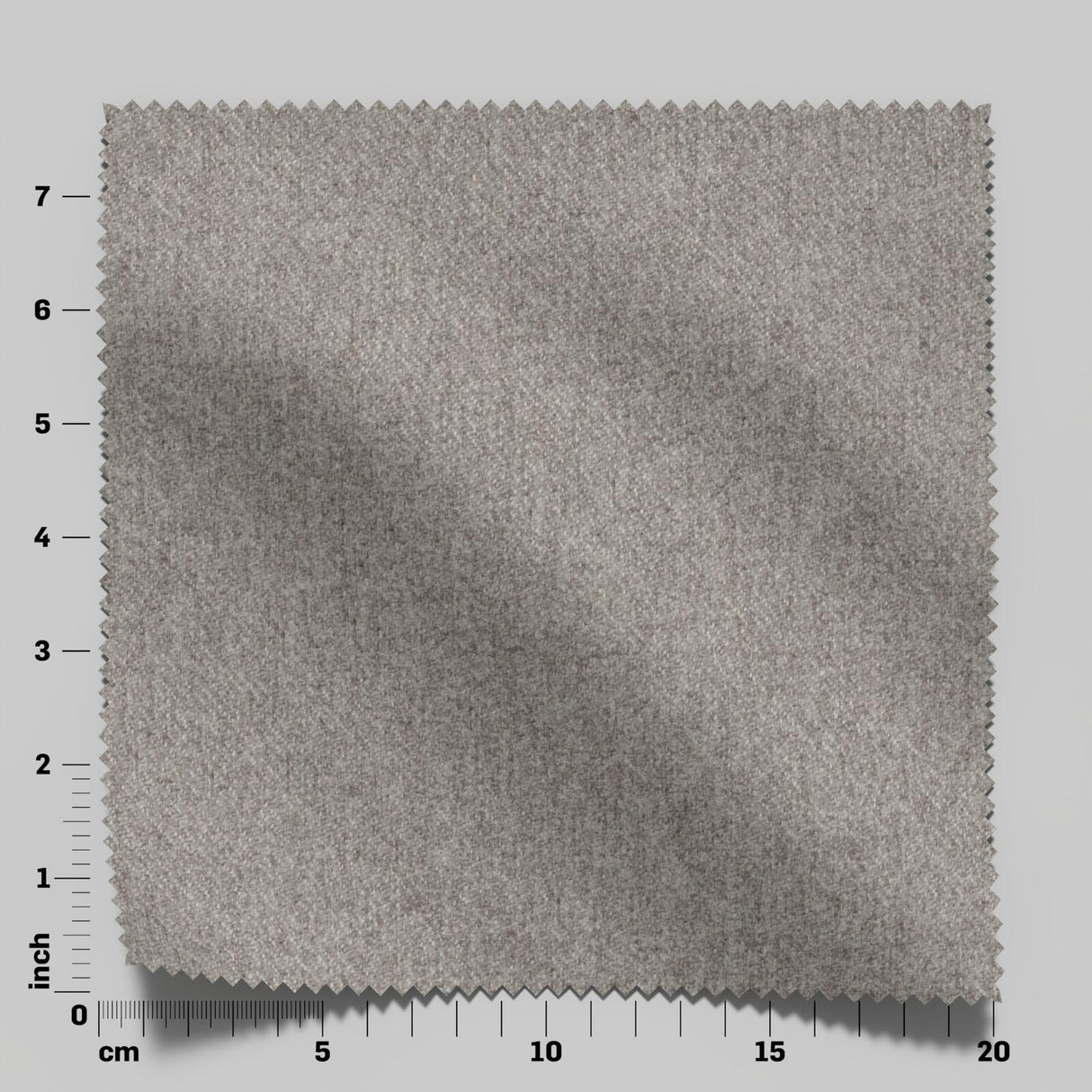 Braveheart 09 Griffin